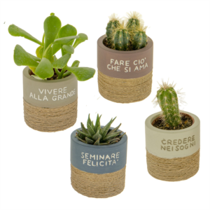 Portapiante RUSTIC