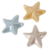 Magnete stella marina