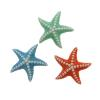 Magnete stella marina