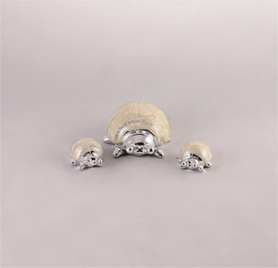 Coccinelle trio Traviata