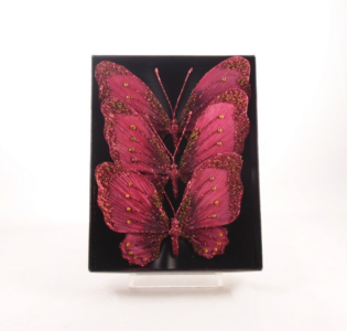 Set farfalle glitter