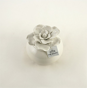 Scatola palla anemone